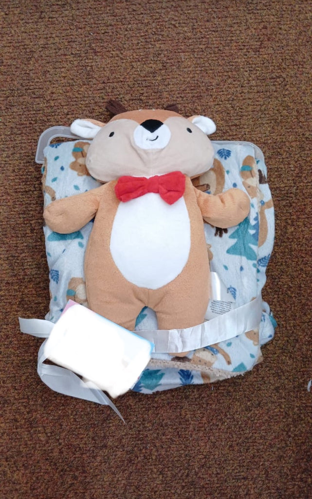 Fleece Inner Blanket With A Matching Pillow