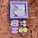 Hairclip and Pony Fancy Gift Box