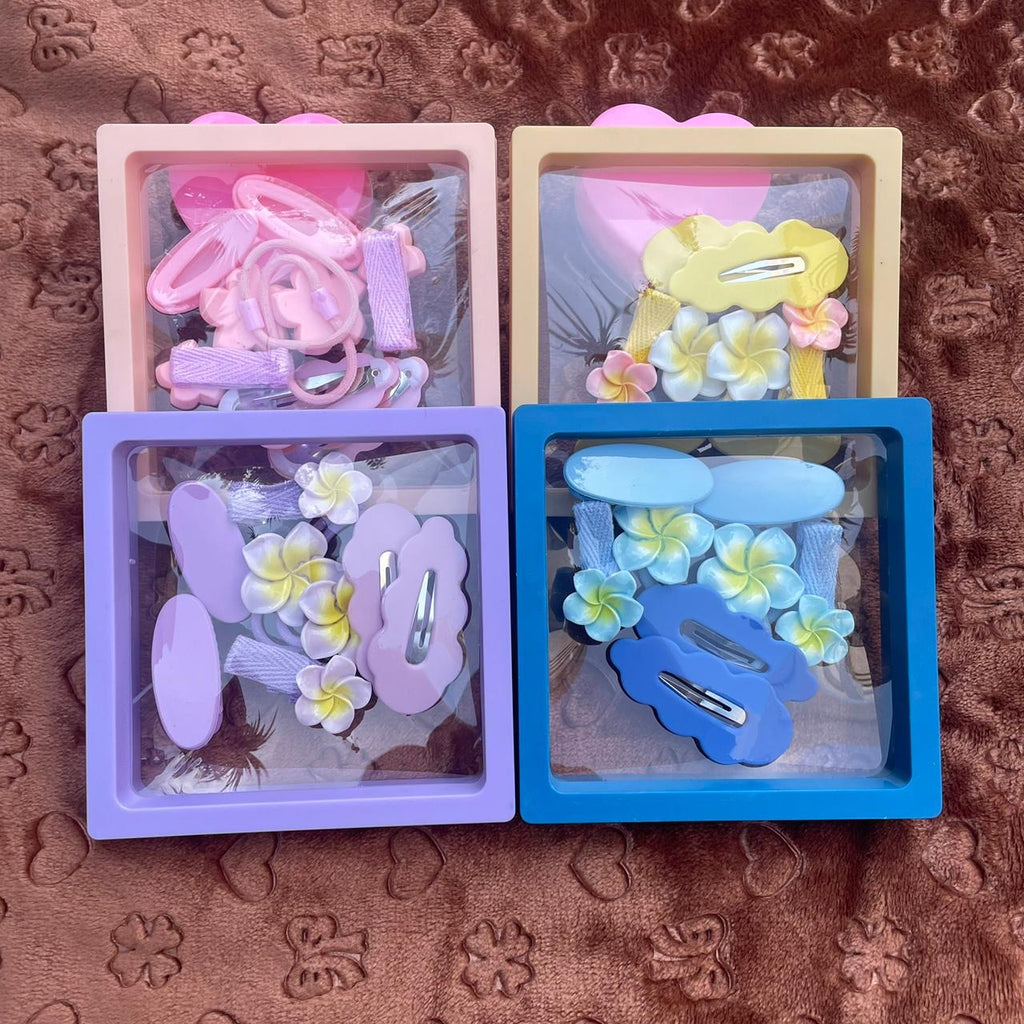 Hairclip and Pony Fancy Gift Box