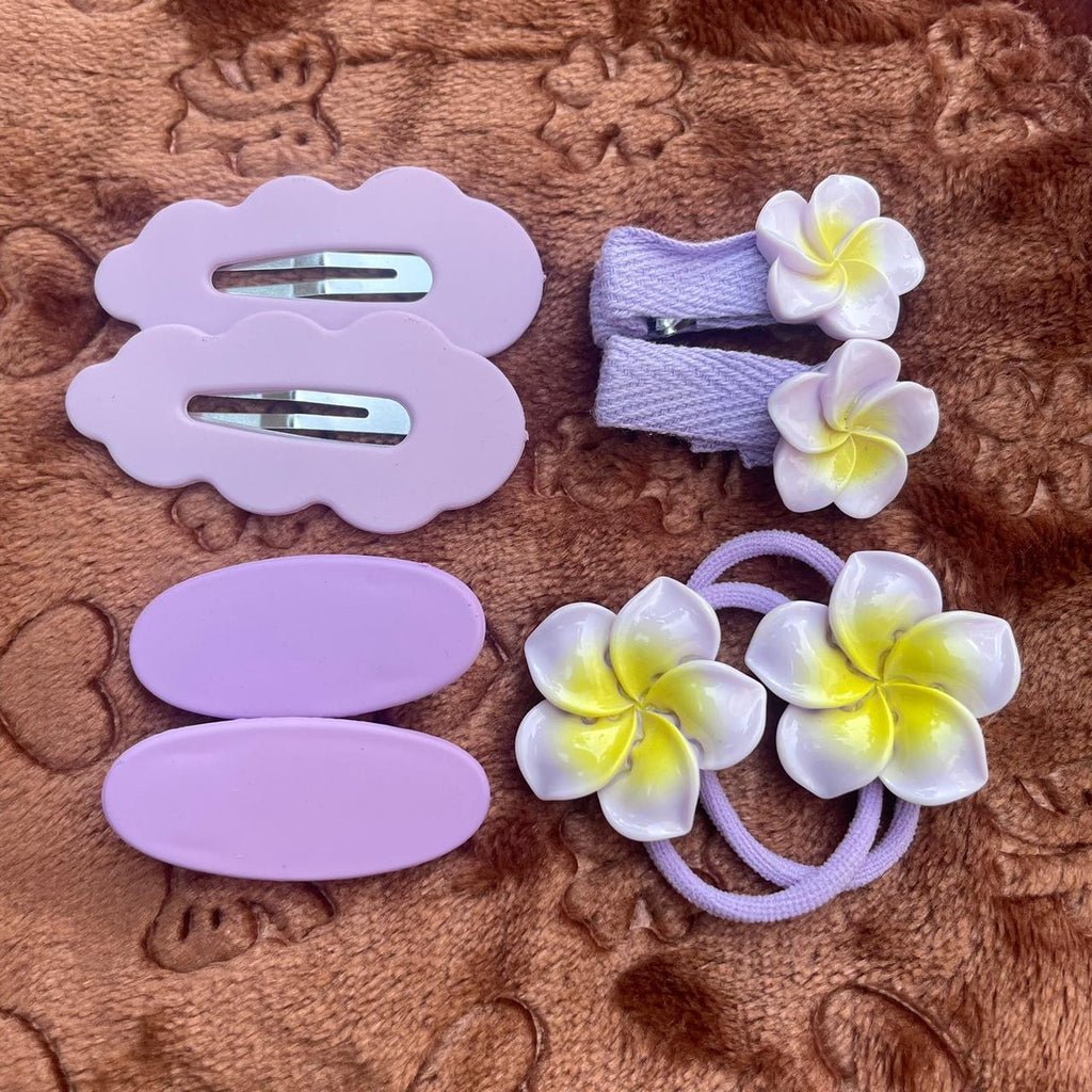 Hairclip and Pony Fancy Gift Box