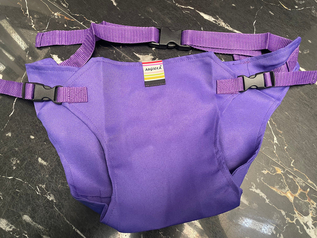 Chair Harness