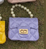 Pearl Handle Mini Bag