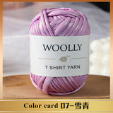Woolly Metallic T Shirt Yarn
