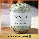 Woolly Metallic T Shirt Yarn