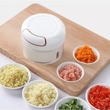 Manual Mini Chopper Garlic Slicer Vegetable Chopper