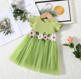 Pre-Order Flower Embroidery Princess Dress
