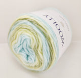 Woolly Fairyland Yarn - [CS22]