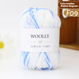 Woolly Multicolor Acrylic Yarn - [CS22]